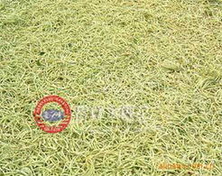 山東魯峰金銀花植物提取物產品系列概覽